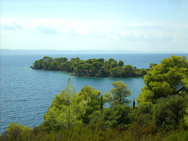 DSCN0794.JPG