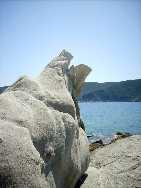 DSCN1020.jpg
