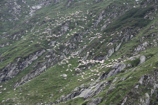 34 IMG_9610.jpg
