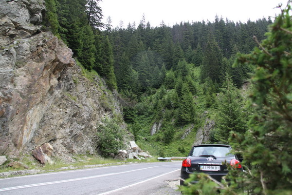 36 IMG_9532.jpg