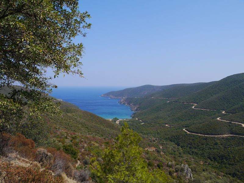 P1020884.JPG