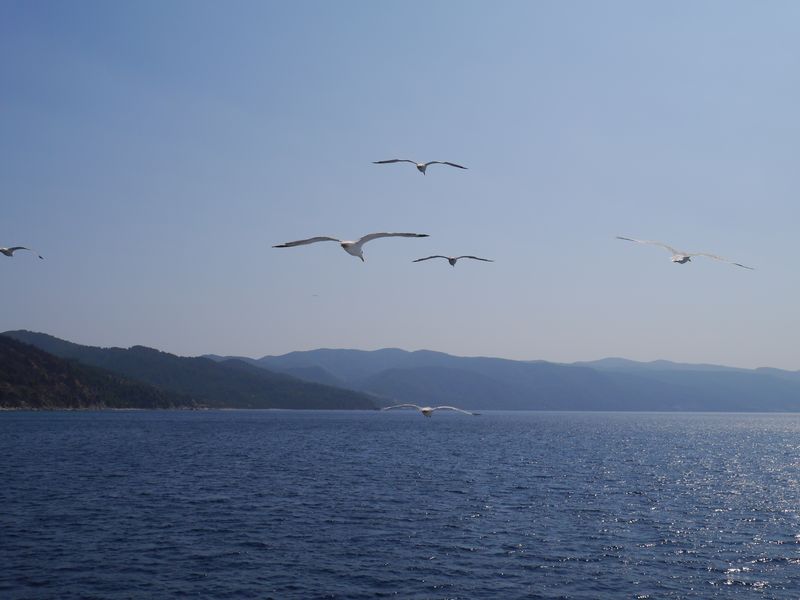 P1030190.JPG
