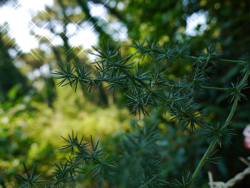 P1010142.JPG