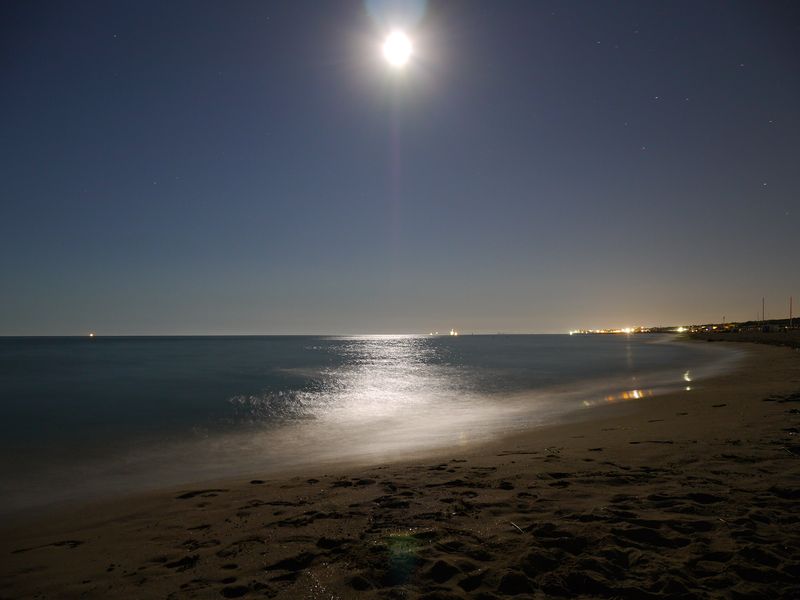 P1010874.JPG