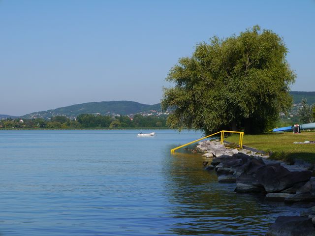 P1000740.JPG