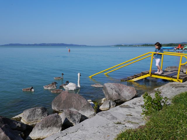 P1000742.JPG