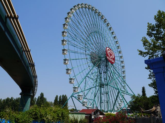P1010734.JPG