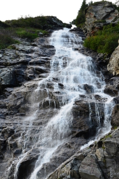 DSC_5515.JPG