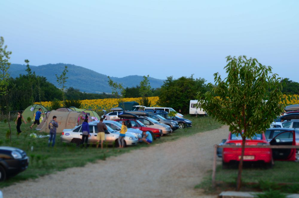 DSC_0216.JPG