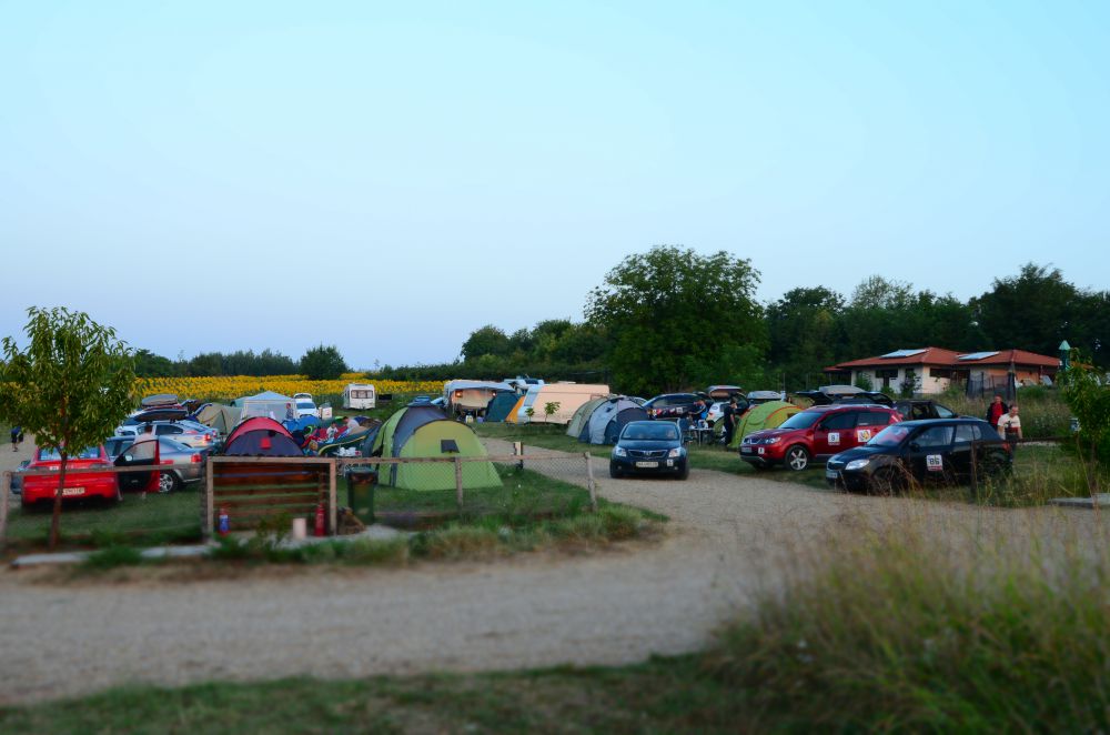 DSC_0217.JPG
