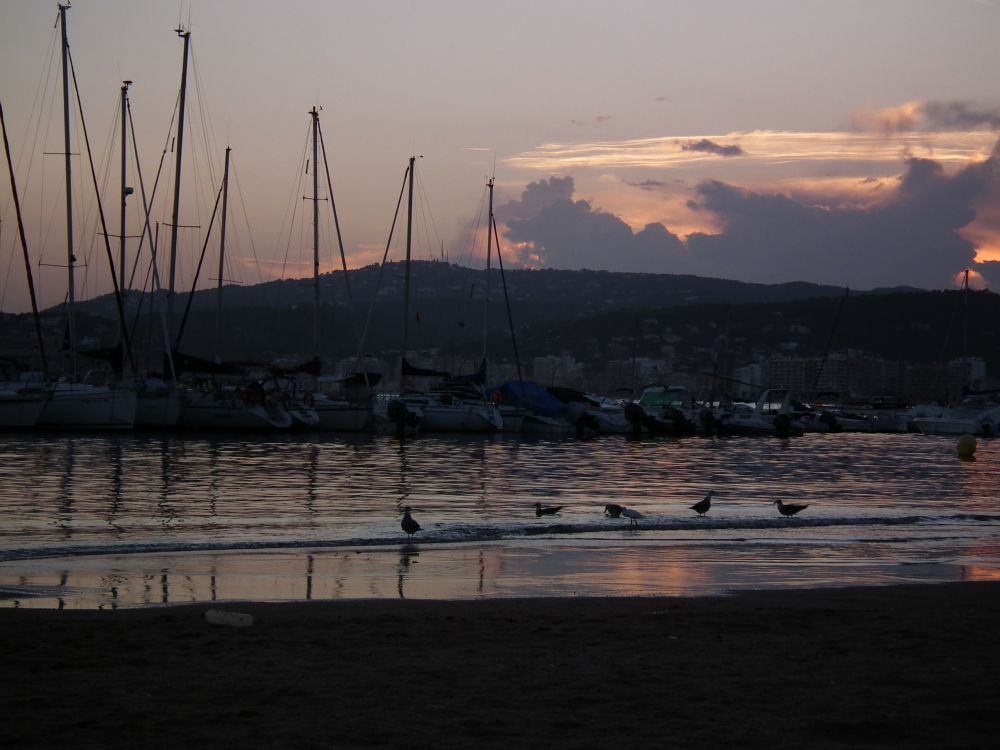 DSCF7290.JPG