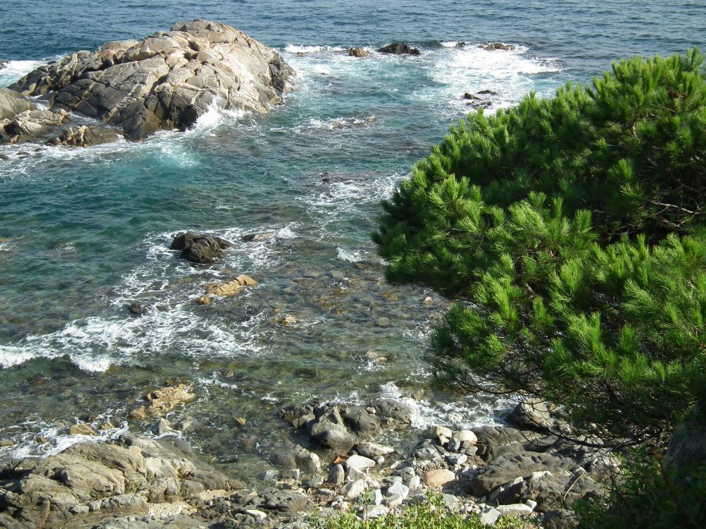 DSCF7597.JPG