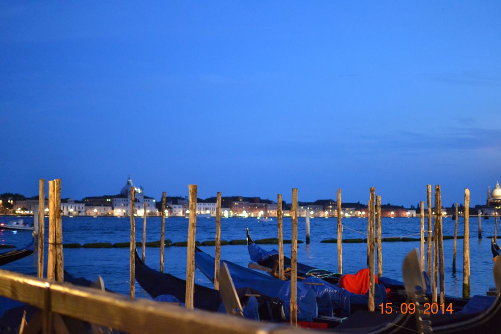 DSC_5470.JPG