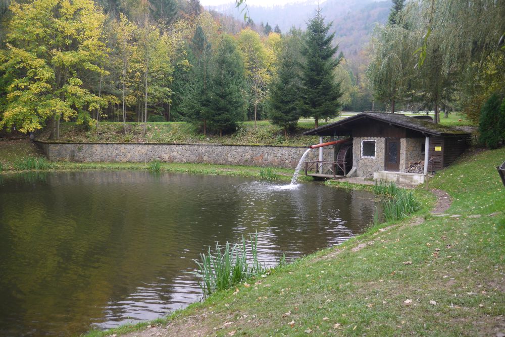 P1080554.JPG