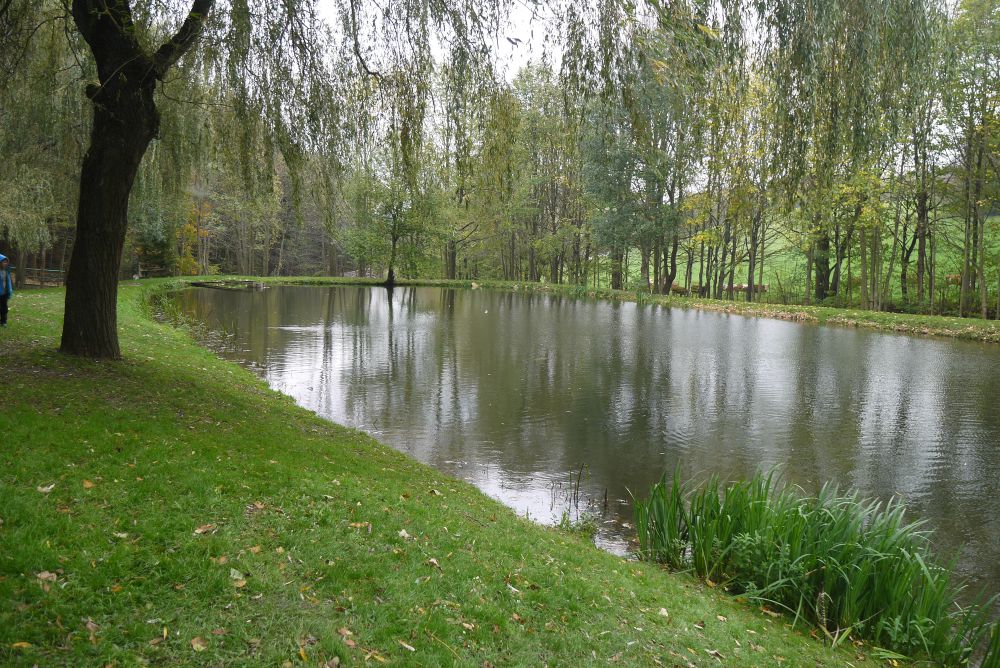 P1080555.JPG