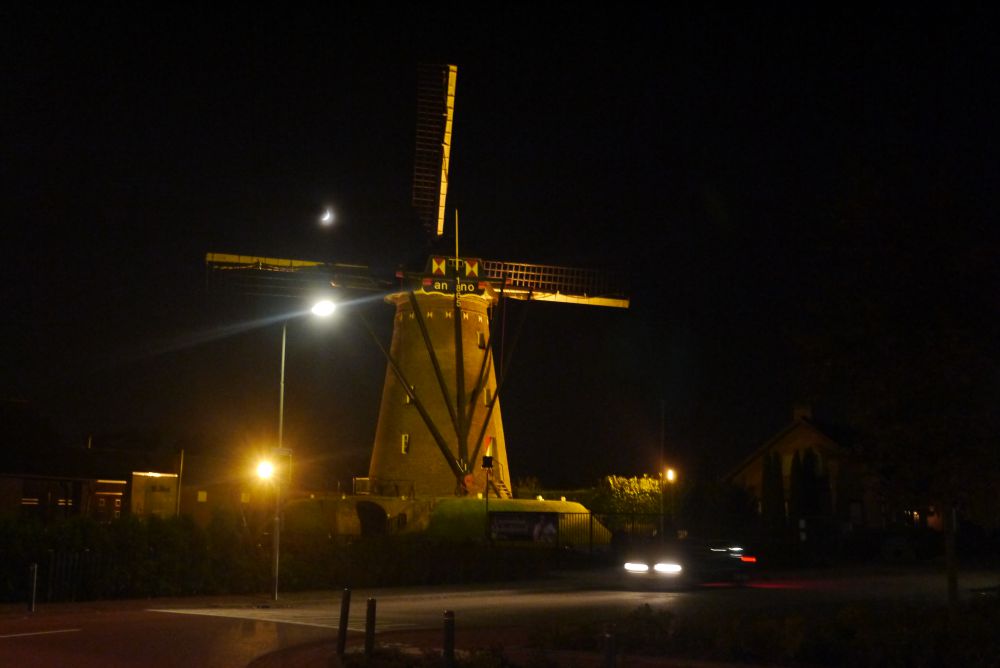 P1080561.JPG