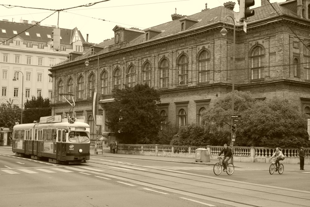 P1090349.JPG