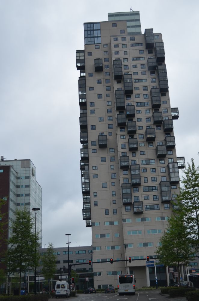 DSC_0768.JPG