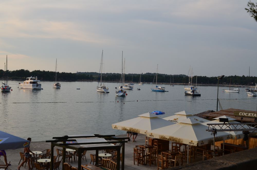 DSC_0096.JPG