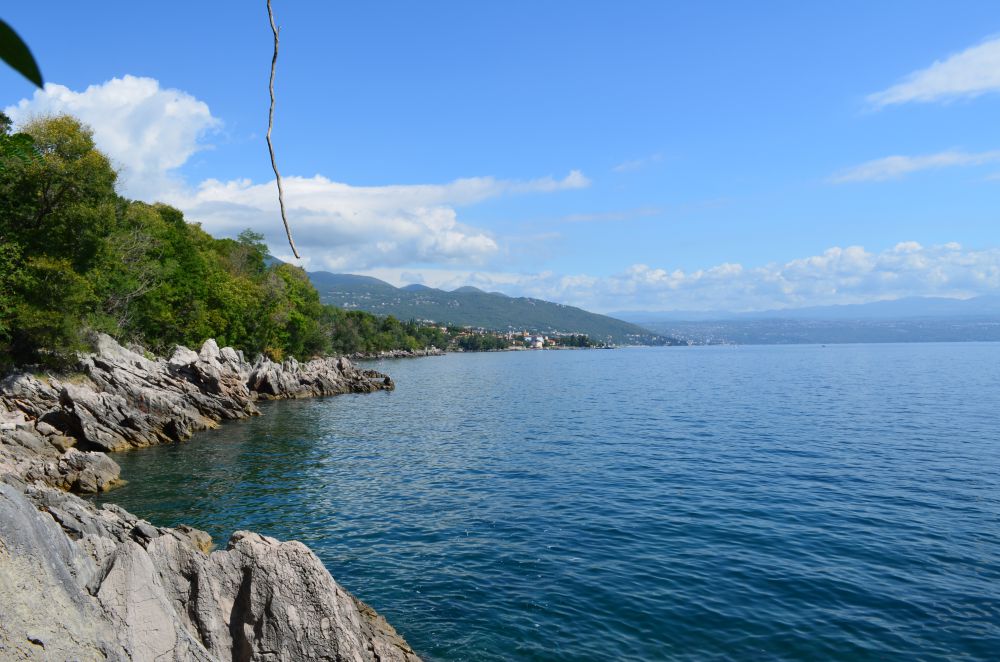 DSC_0379.JPG