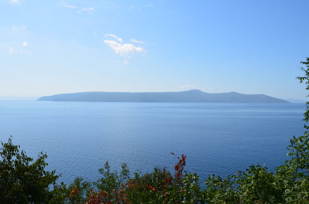 DSC_0374.JPG