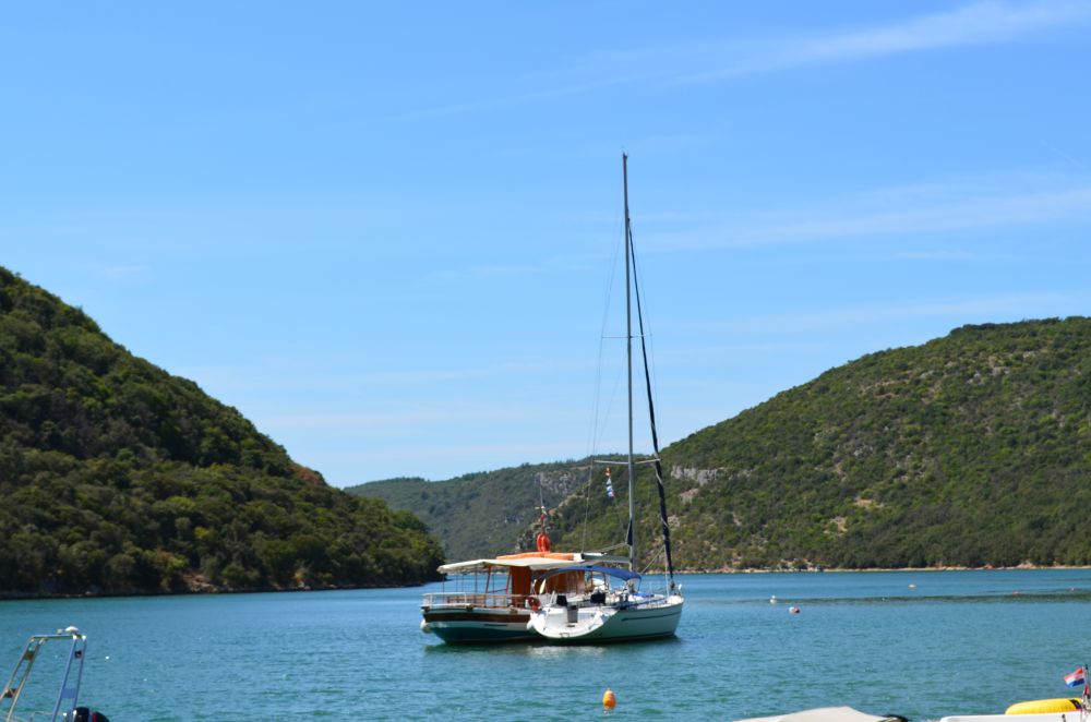DSC_0347.JPG