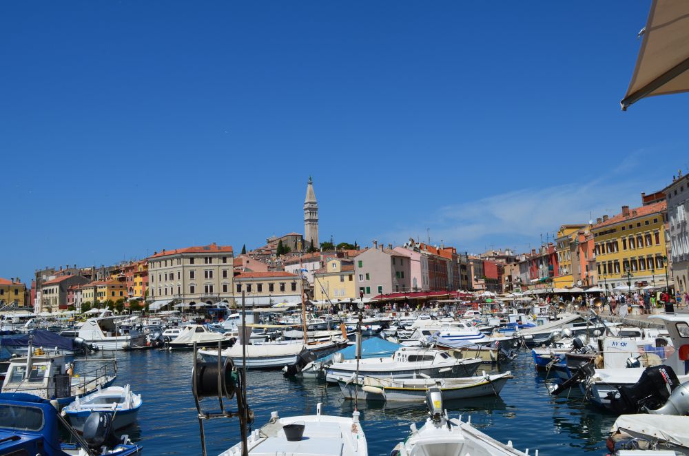 DSC_0313.JPG