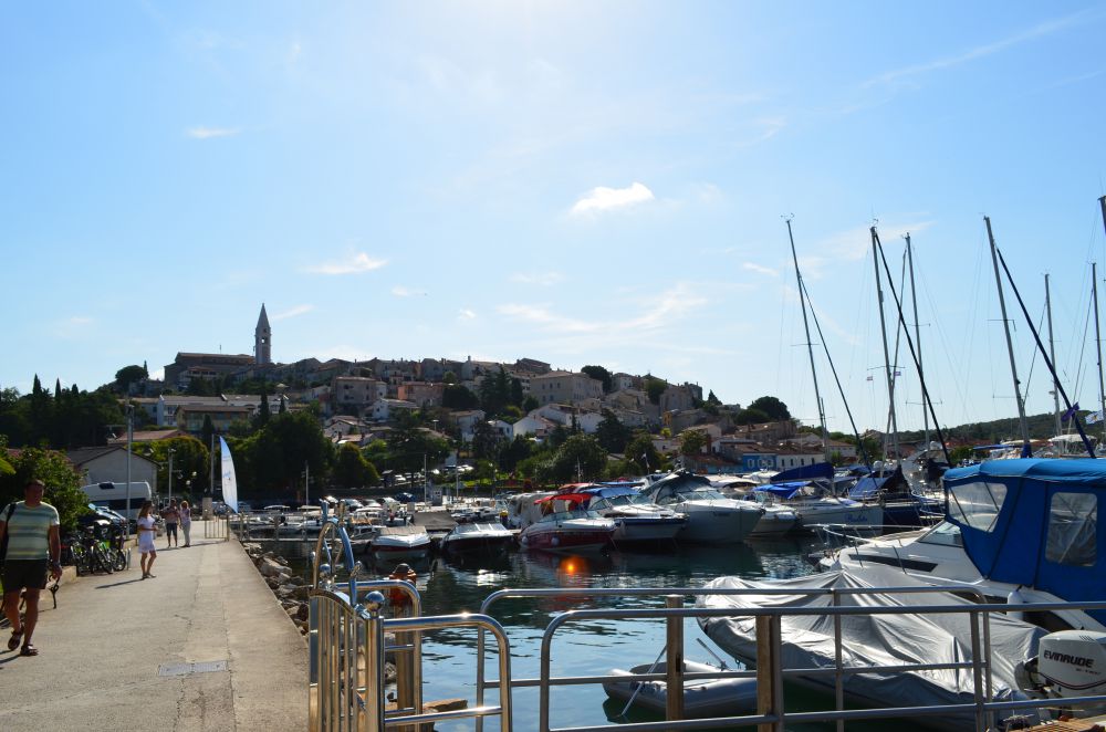 DSC_0267.JPG