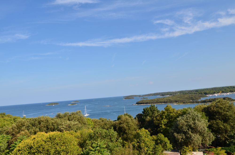 DSC_0241.JPG