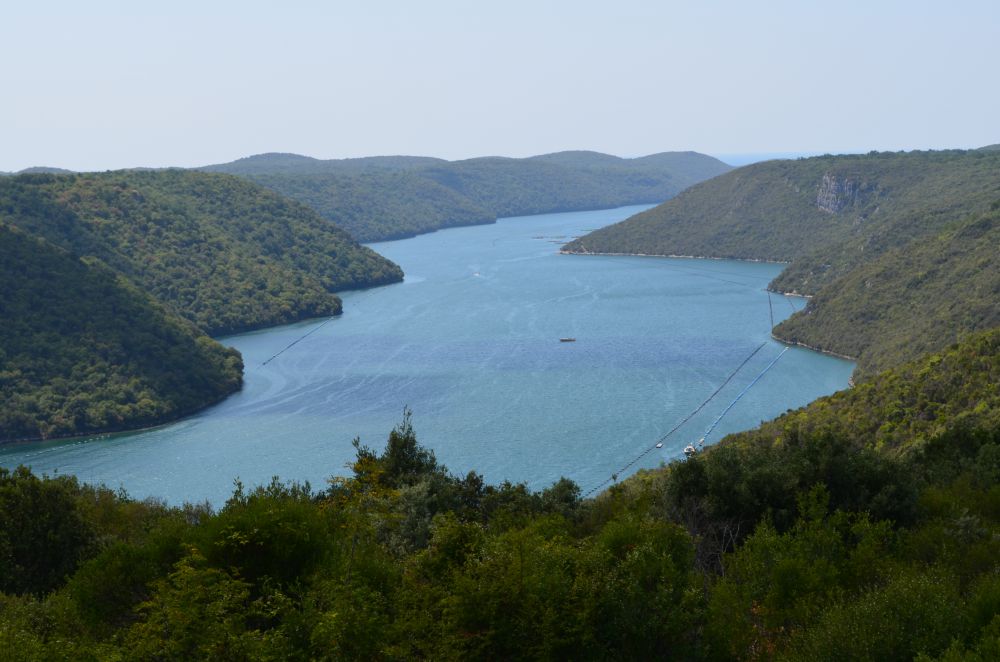 DSC_0235.JPG