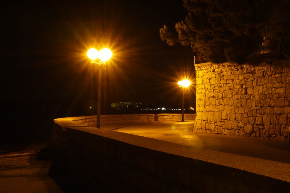 P1100253.JPG