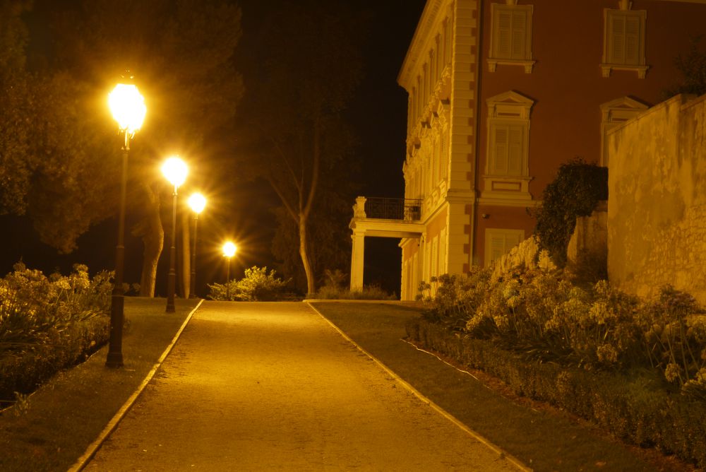 P1100254.JPG