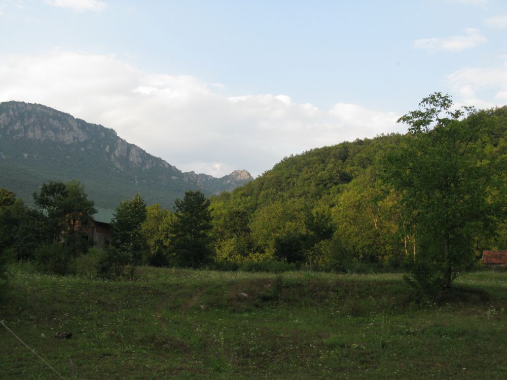 IMG_0977.JPG