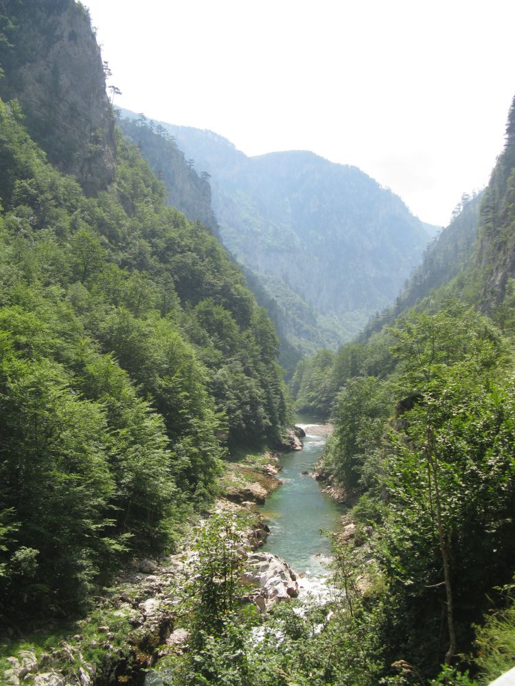 IMG_1050.JPG