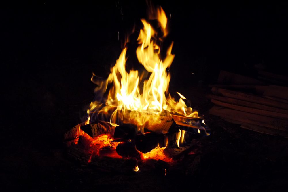 P1100382.JPG
