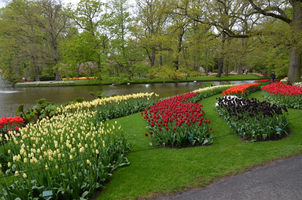 DSC_0639.JPG