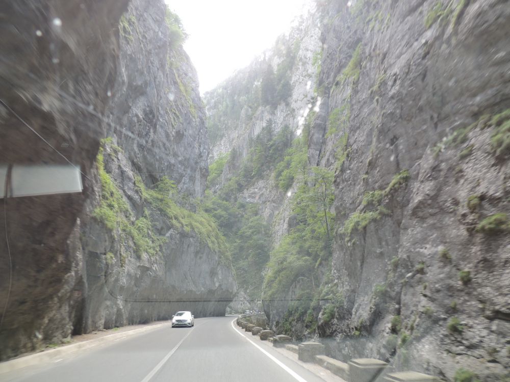 DSCN9619.JPG