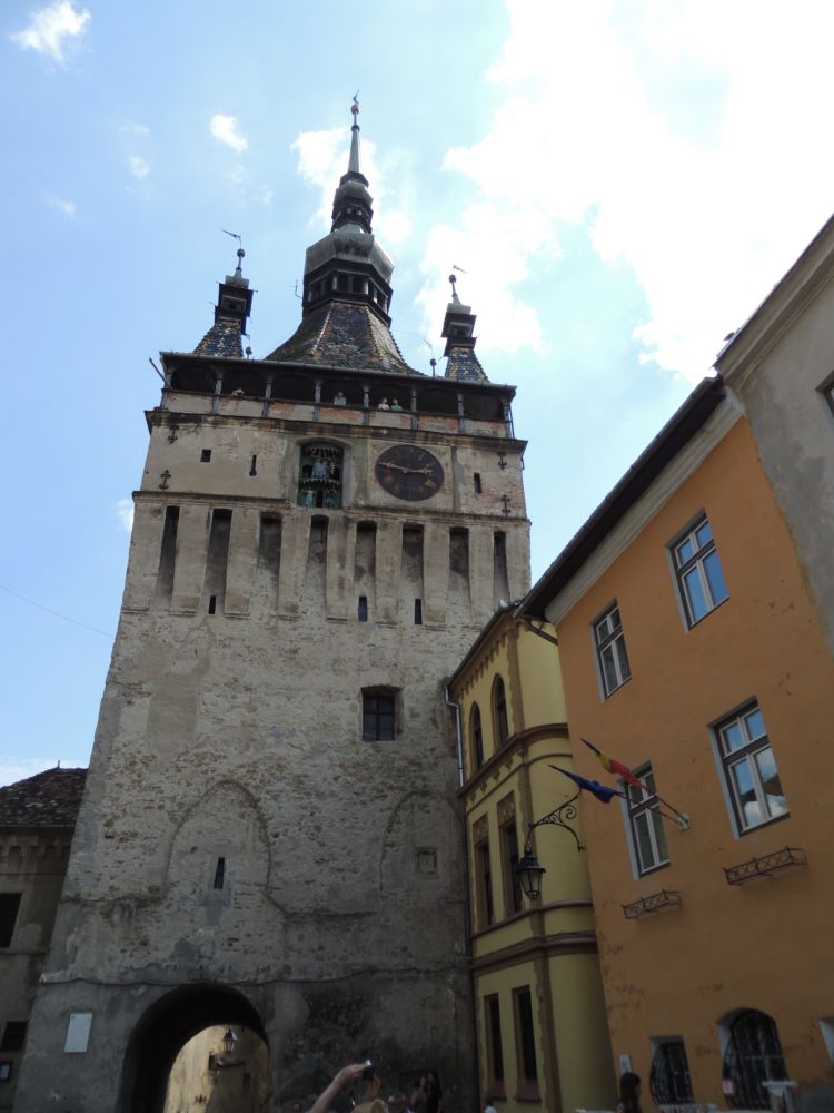 DSCN9696.JPG