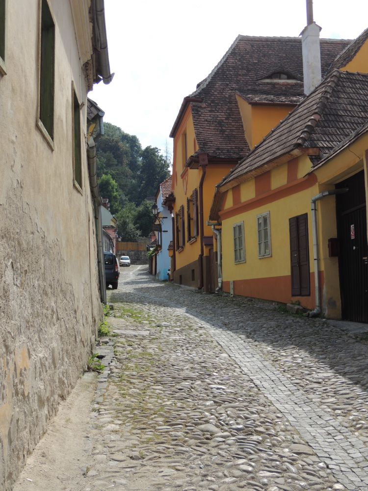 DSCN9726.JPG