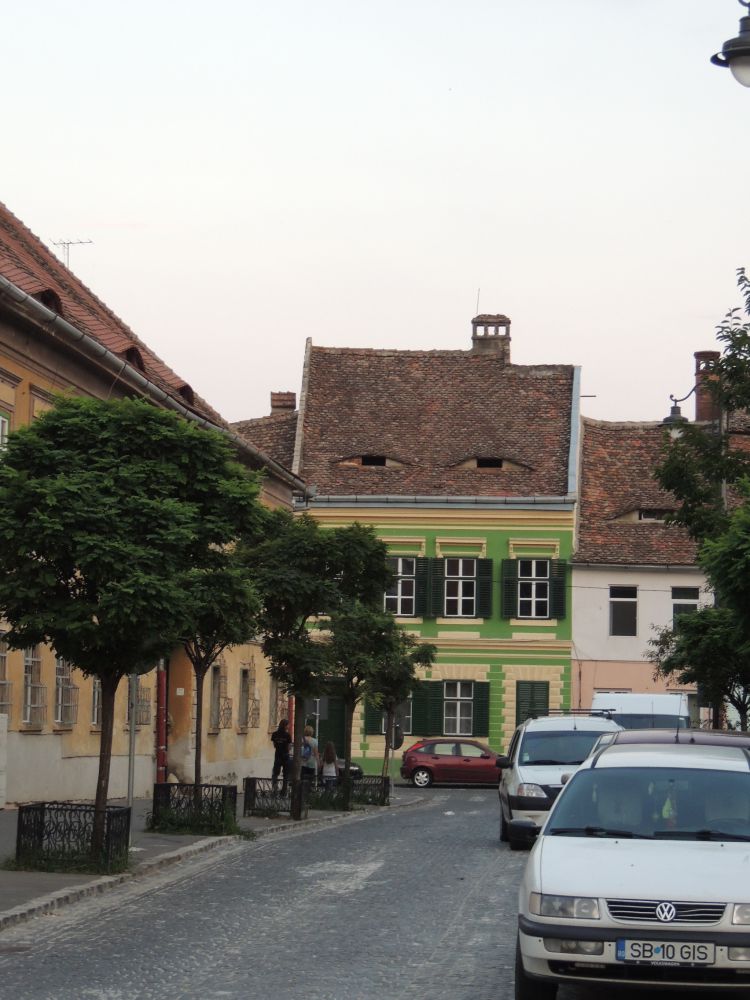 DSCN9766.JPG