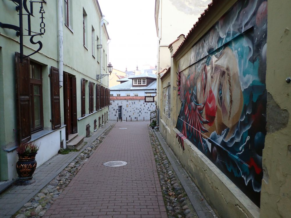 PA300895.jpg