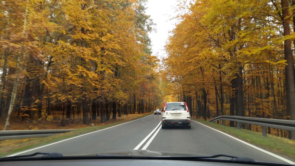 20151028_141607.jpg