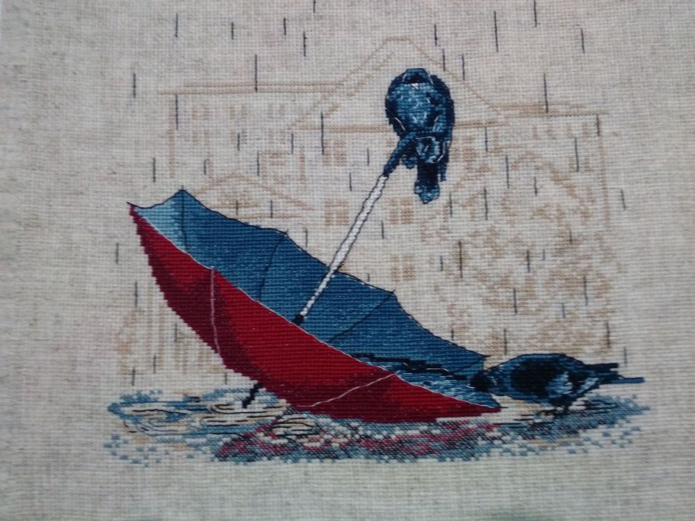 ambrella.jpg