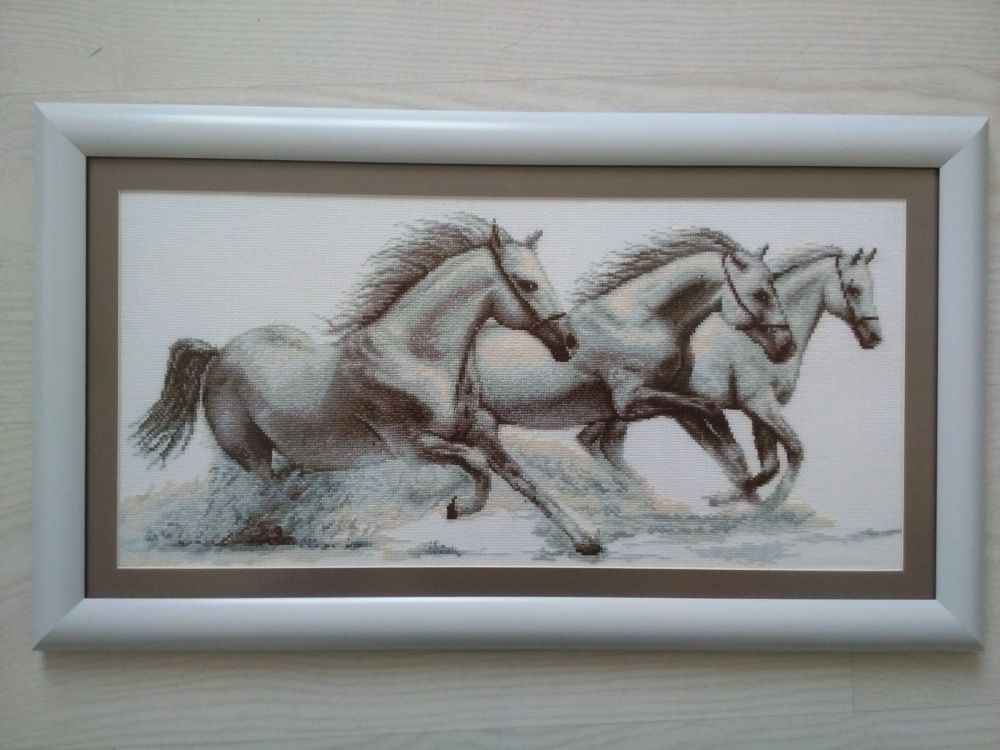 horses.jpg