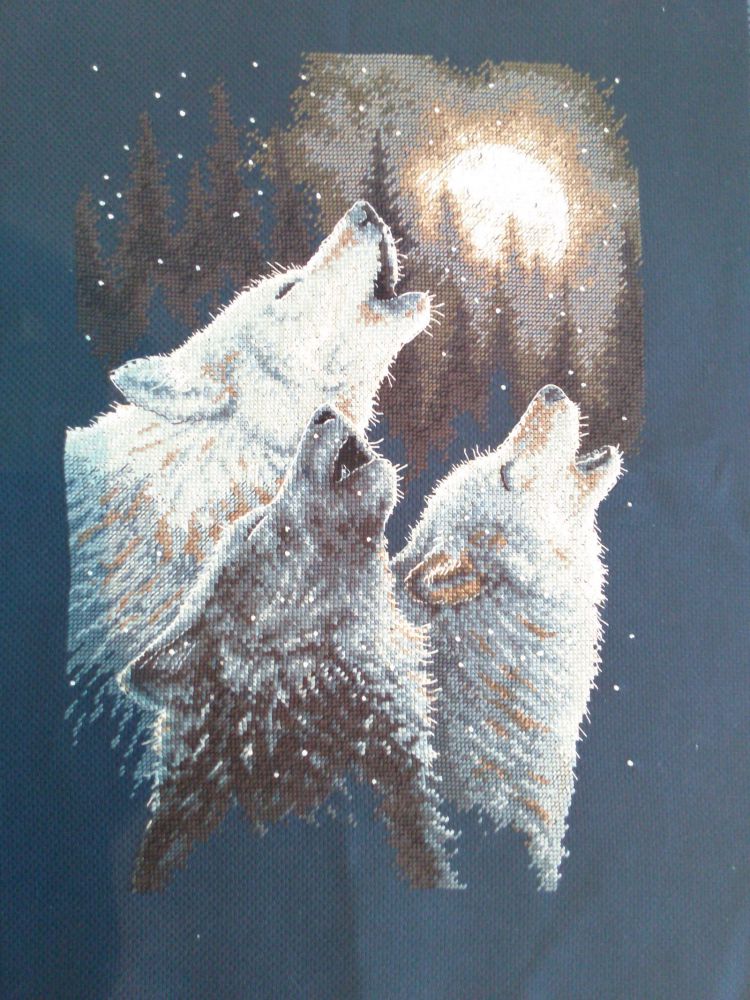 wolfs.jpg