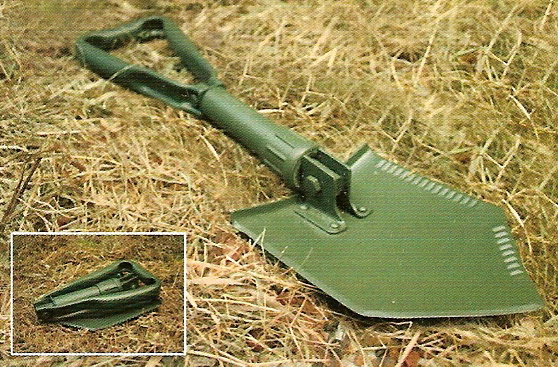 2589.jpg