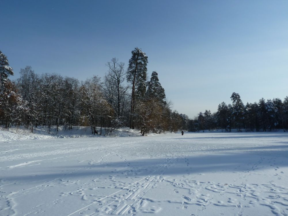 P1000967.JPG