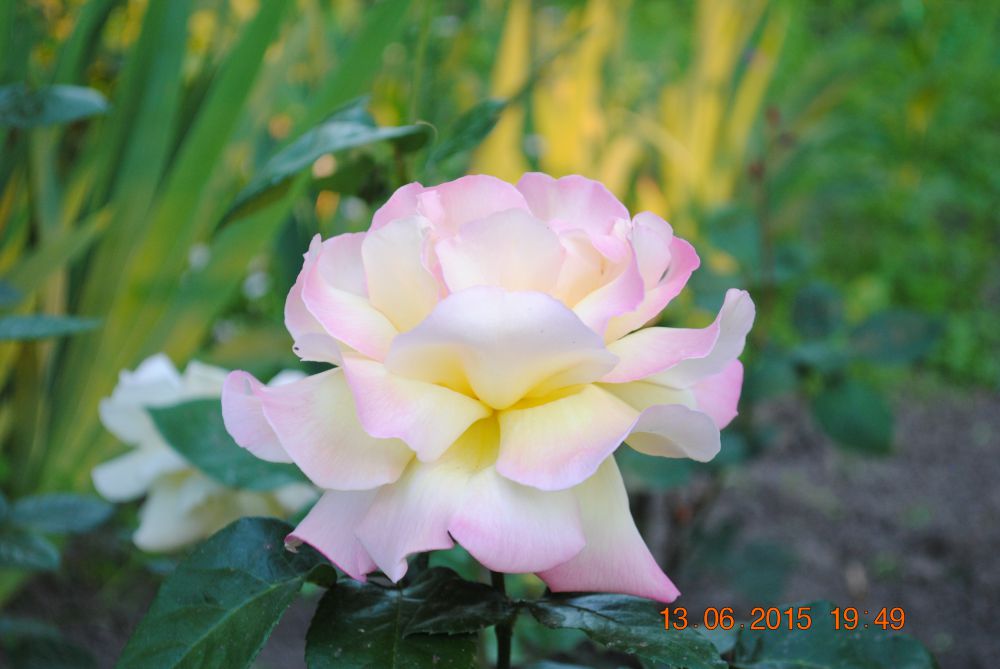 DSC_0093.JPG