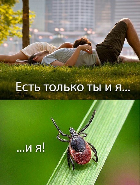 whV8Ltyh22g.jpg