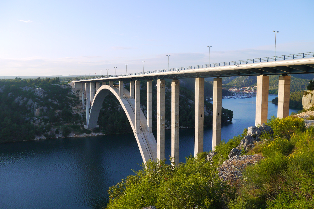 P1130501.JPG